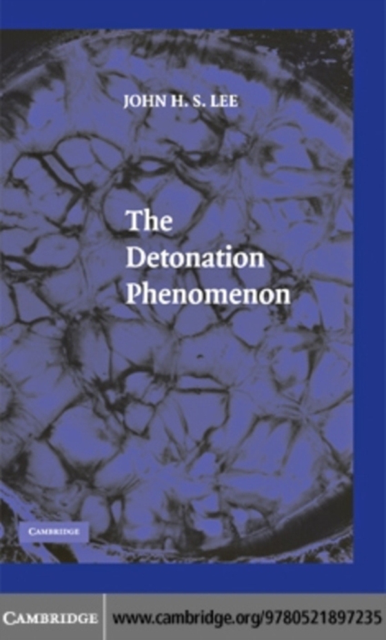 Detonation Phenomenon (e-bog) af Lee, John H. S.