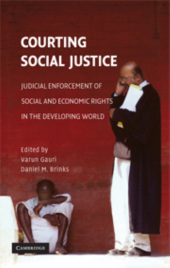 Courting Social Justice (e-bog) af -