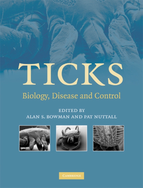 Ticks