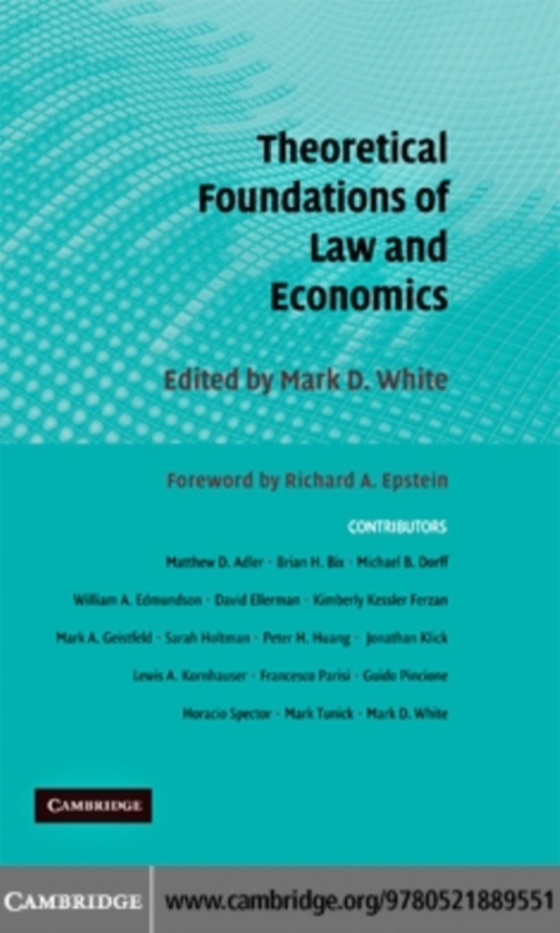 Theoretical Foundations of Law and Economics