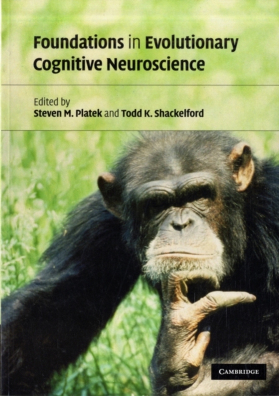 Foundations in Evolutionary Cognitive Neuroscience (e-bog) af -