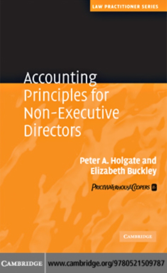 Accounting Principles for Non-Executive Directors (e-bog) af Buckley, Elizabeth