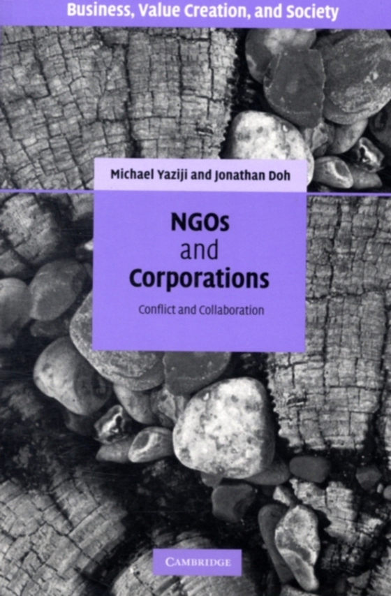 NGOs and Corporations (e-bog) af Doh, Jonathan