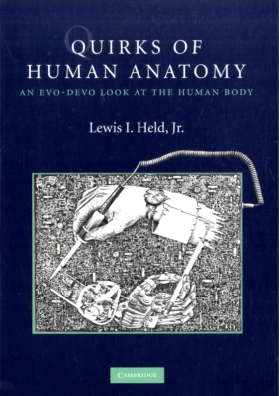 Quirks of Human Anatomy (e-bog) af Lewis I. Held, Jr