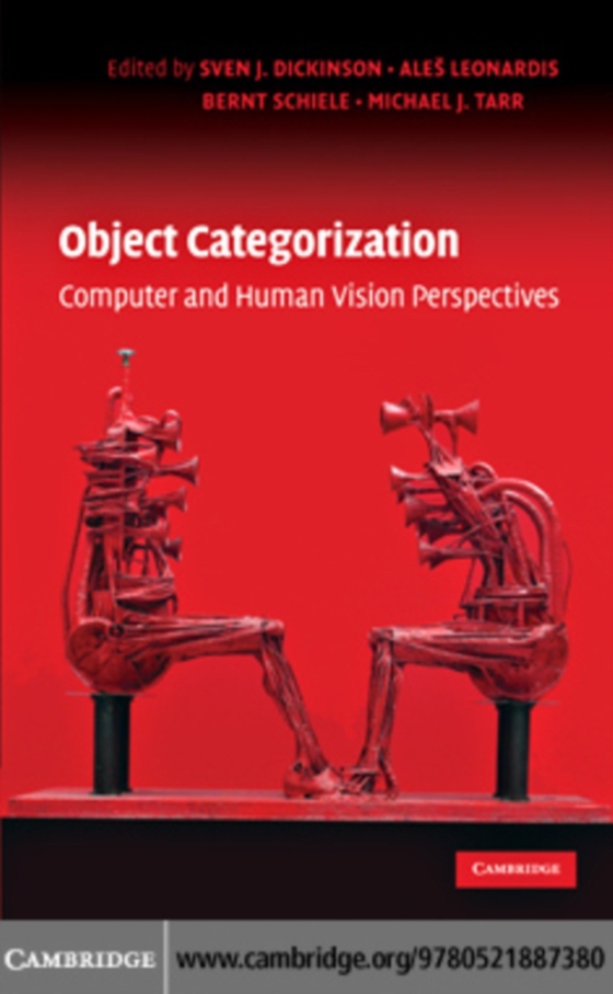 Object Categorization