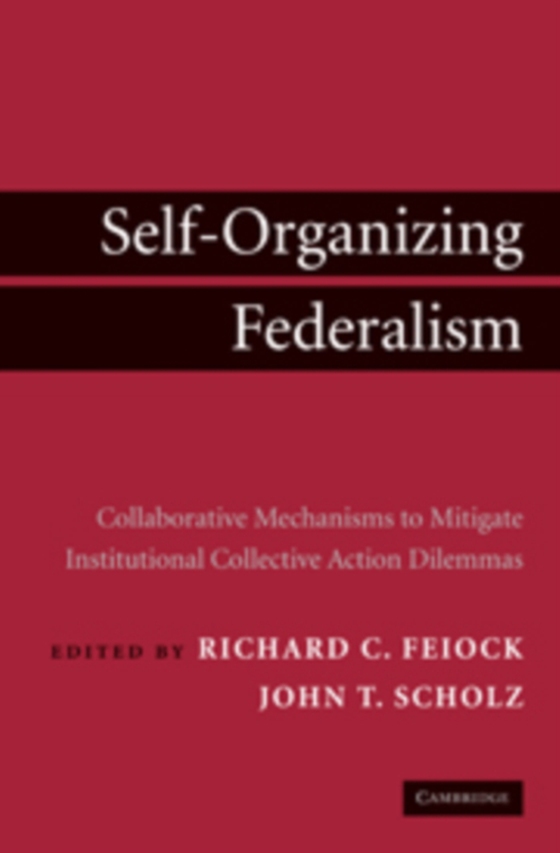 Self-Organizing Federalism (e-bog) af -