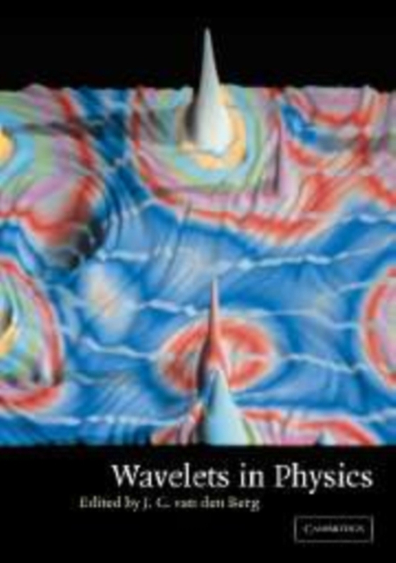 Wavelets in Physics (e-bog) af -