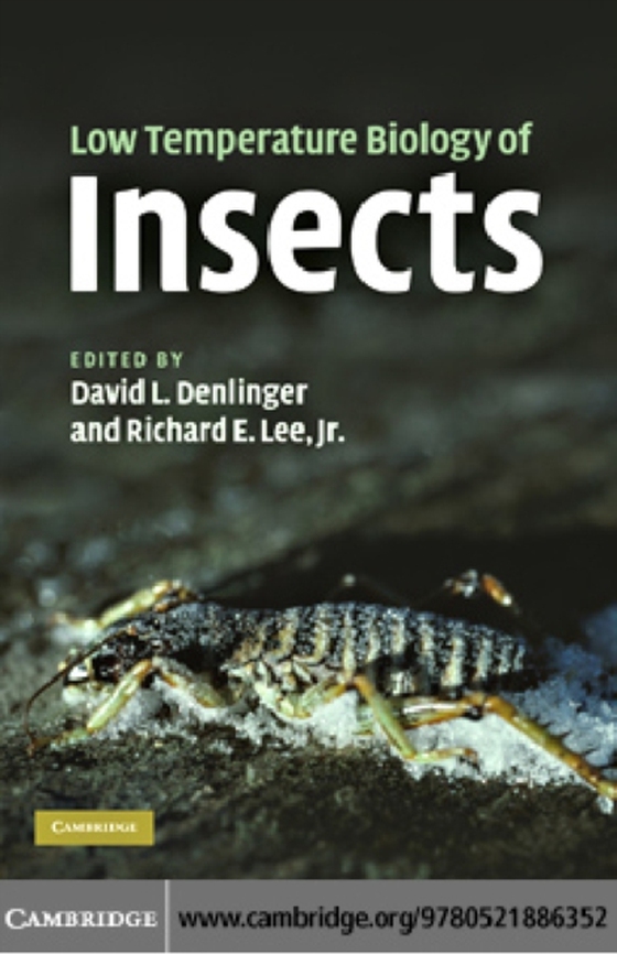 Low Temperature Biology of Insects (e-bog) af -