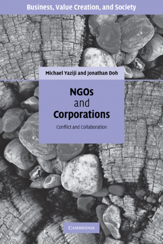 NGOs and Corporations (e-bog) af Doh, Jonathan