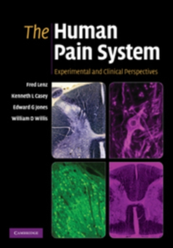 Human Pain System (e-bog) af Willis, William D.