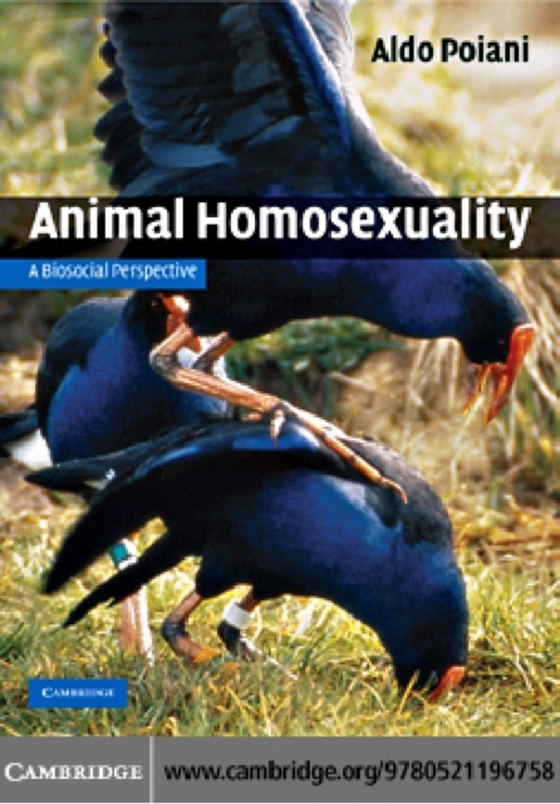 Animal Homosexuality (e-bog) af Poiani, Aldo