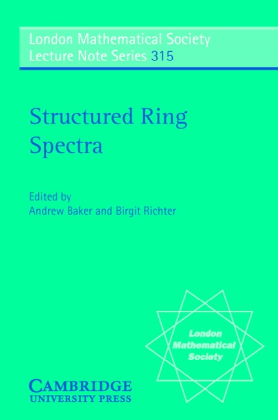 Structured Ring Spectra (e-bog) af -