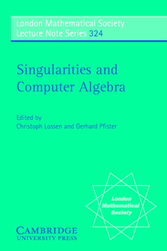 Singularities and Computer Algebra