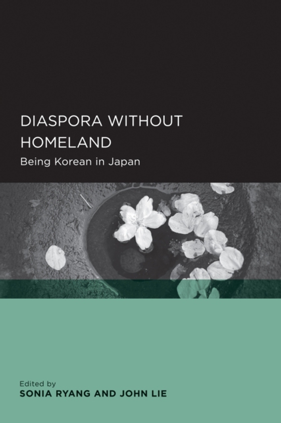 Diaspora without Homeland (e-bog) af -