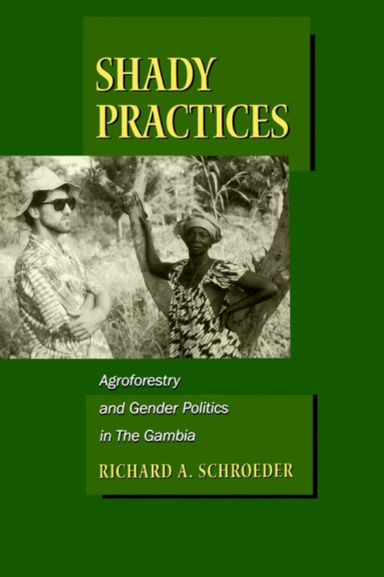 Shady Practices (e-bog) af Schroeder, Richard A.