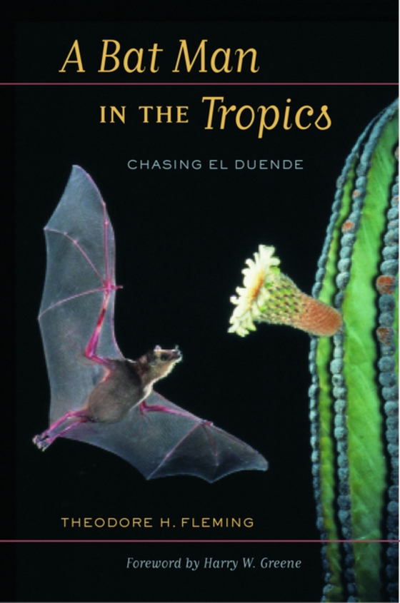 Bat Man in the Tropics (e-bog) af Fleming, Theodore