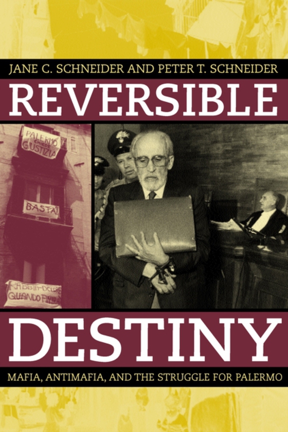 Reversible Destiny (e-bog) af Schneider, Jane