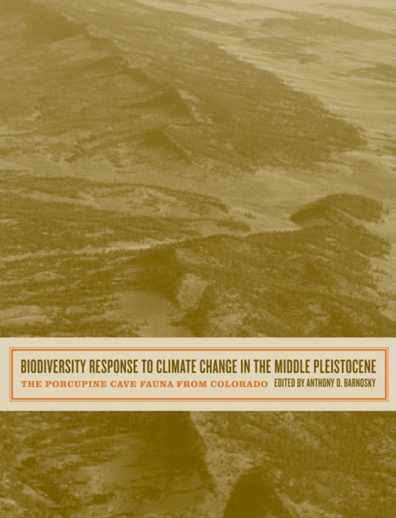 Biodiversity Response to Climate Change in the Middle Pleistocene