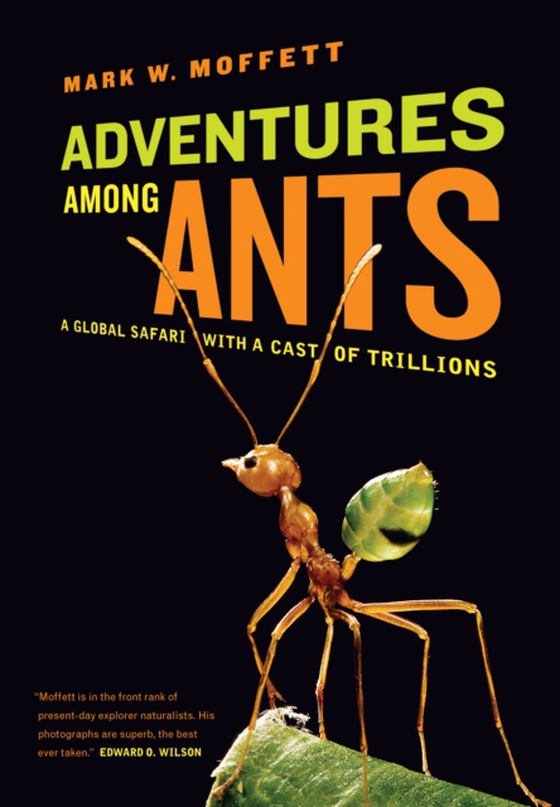 Adventures among Ants (e-bog) af Moffett, Mark W.