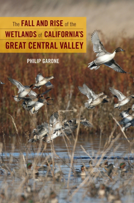 Fall and Rise of the Wetlands of California's Great Central Valley (e-bog) af Garone, Philip
