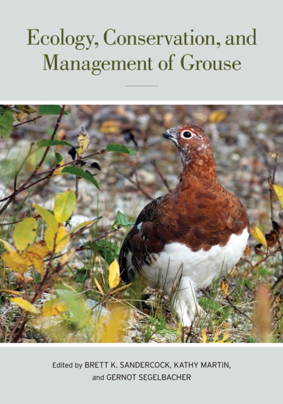 Ecology, Conservation, and Management of Grouse (e-bog) af -