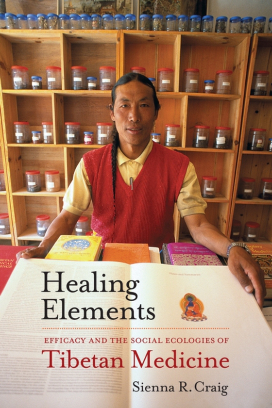 Healing Elements (e-bog) af Craig, Sienna R.