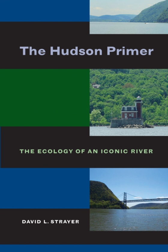 Hudson Primer (e-bog) af Strayer, David L.