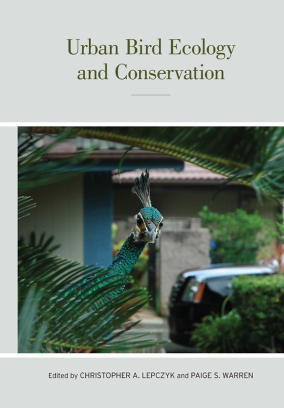 Urban Bird Ecology and Conservation (e-bog) af -