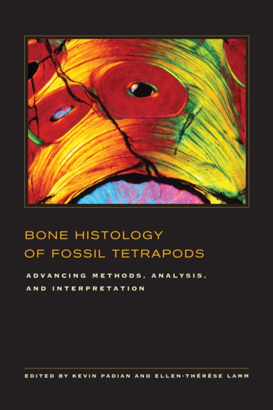 Bone Histology of Fossil Tetrapods (e-bog) af -