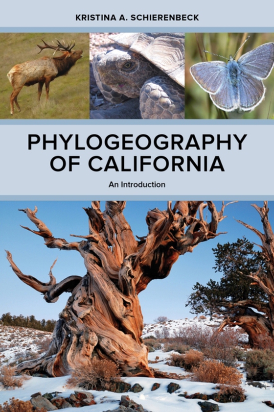 Phylogeography of California (e-bog) af Schierenbeck, Kristina A.
