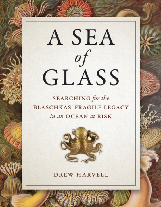 Sea of Glass (e-bog) af Harvell, Drew