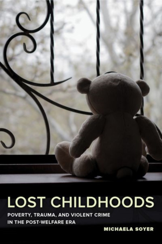 Lost Childhoods (e-bog) af Soyer, Michaela