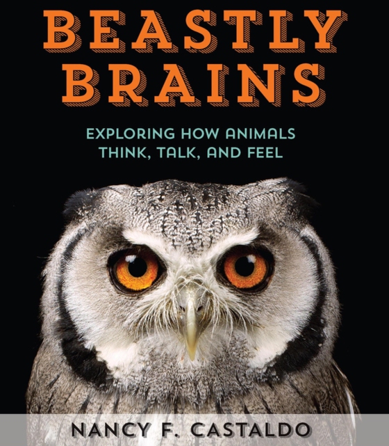 Beastly Brains (e-bog) af Castaldo, Nancy