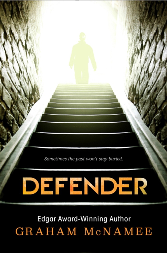 Defender (e-bog) af McNamee, Graham