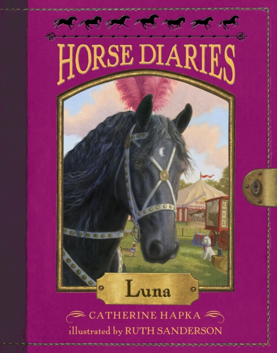 Horse Diaries #12: Luna (e-bog) af Hapka, Catherine