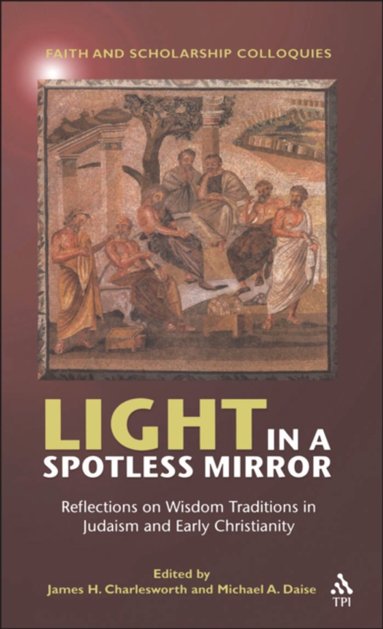 Light in a Spotless Mirror (e-bog) af -