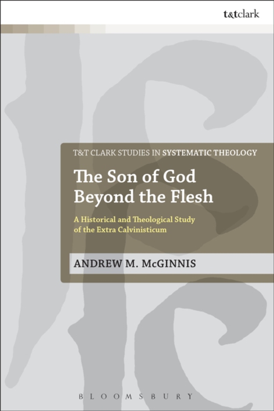 Son of God Beyond the Flesh (e-bog) af Andrew M. McGinnis, McGinnis