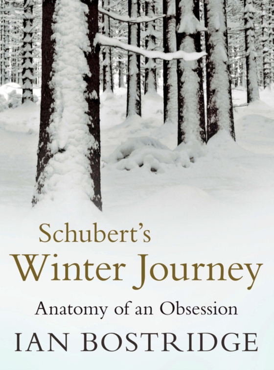 Schubert's Winter Journey (e-bog) af Bostridge, Ian