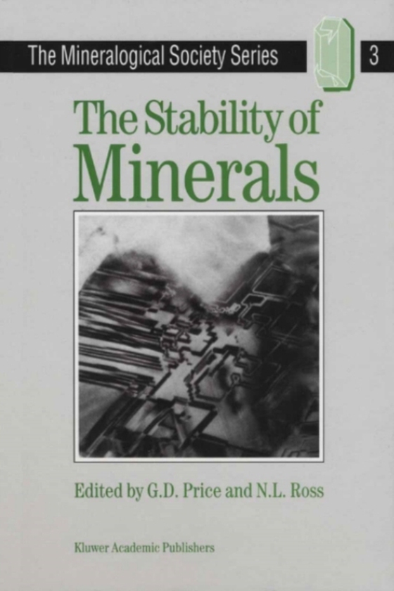 Stability of Minerals (e-bog) af -