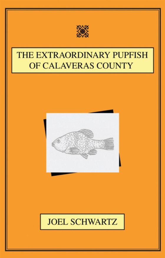 Extraordinary Pupfish of Calaveras County