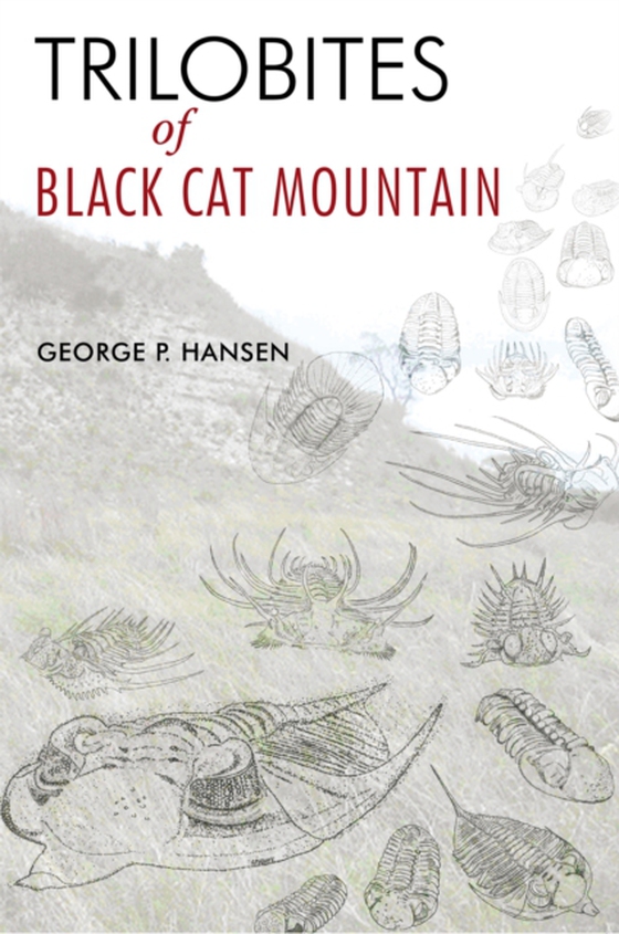 Trilobites of Black Cat Mountain (e-bog) af Hansen, George P.