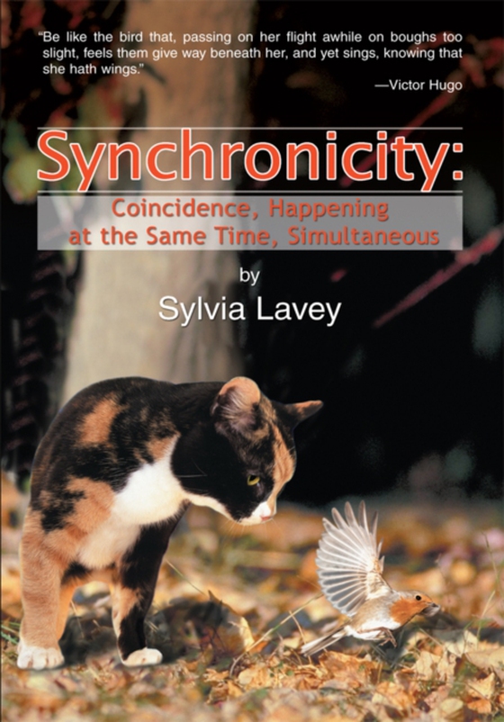 Synchronicity (e-bog) af Lavey, Sylvia