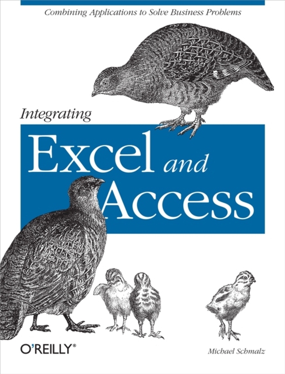 Integrating Excel and Access (e-bog) af Schmalz, Michael