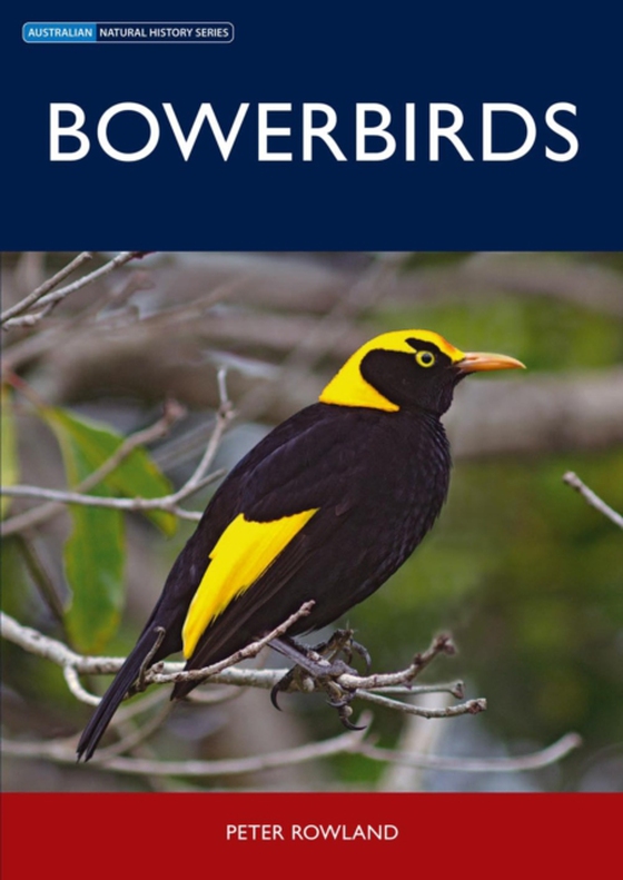 Bowerbirds (e-bog) af -