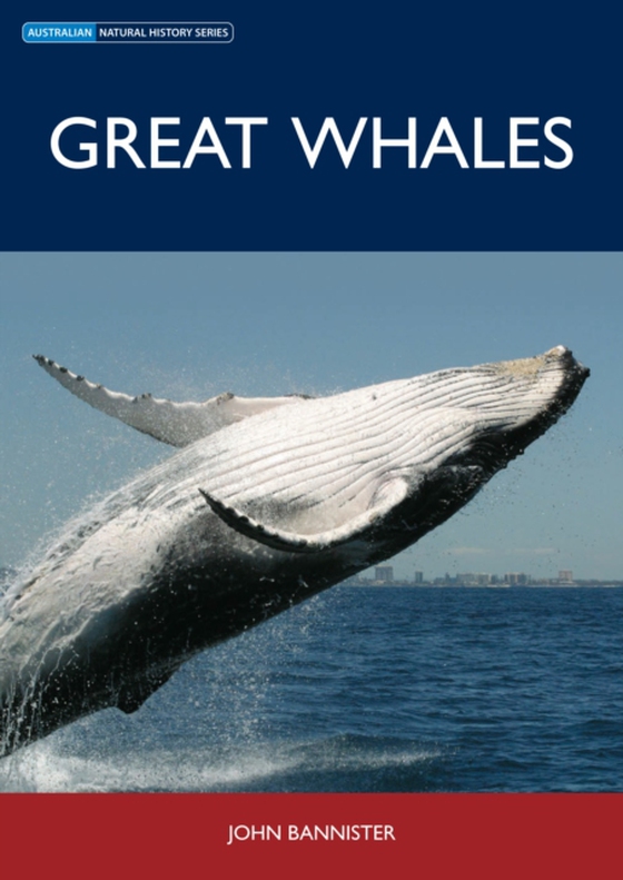 Great Whales (e-bog) af -