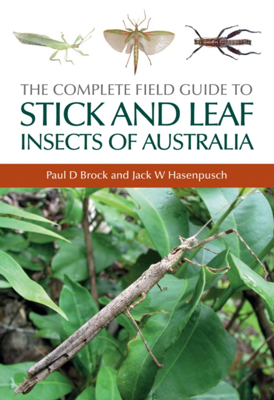 Complete Field Guide to Stick and Leaf Insects of Australia (e-bog) af Hasenpusch, Jack W