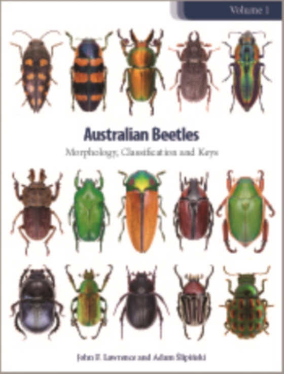 Australian Beetles Volume 1 (e-bog) af Lawrence, John