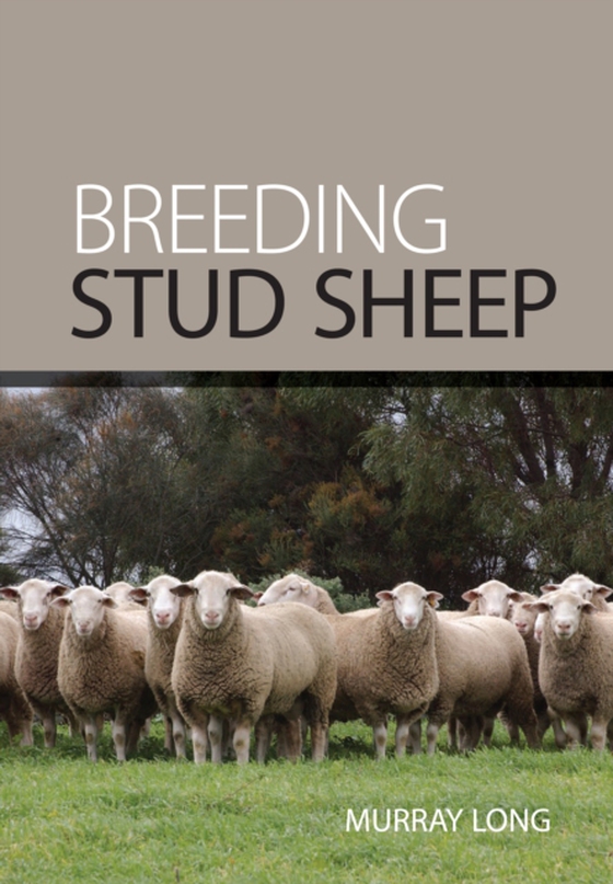 Breeding Stud Sheep (e-bog) af Long, Murray