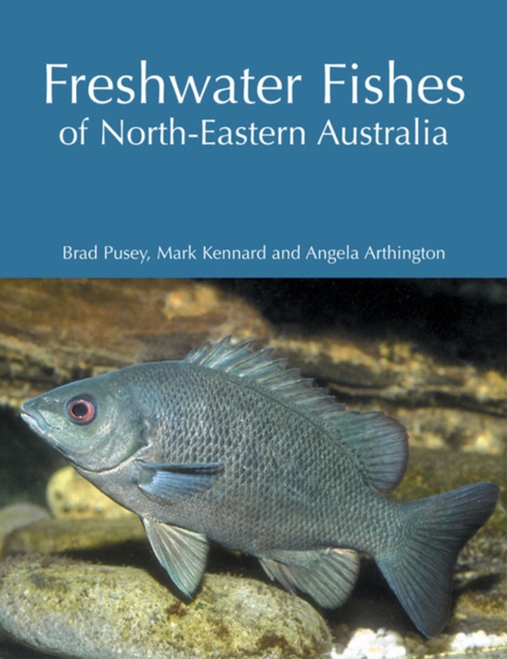 Freshwater Fishes of North-Eastern Australia (e-bog) af Arthington, Angela A.