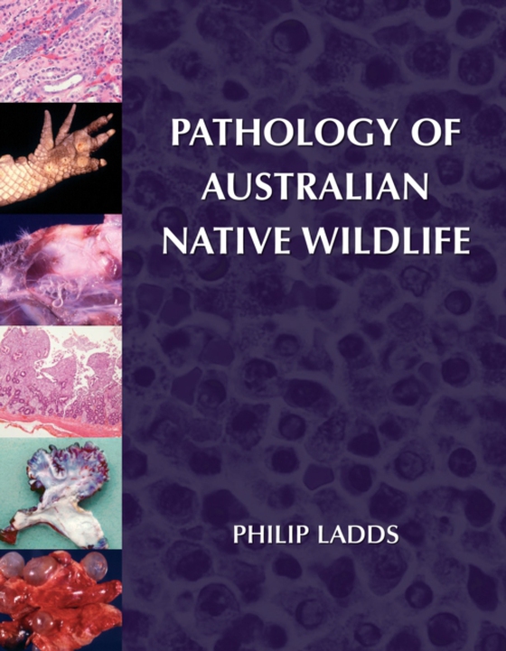 Pathology of Australian Native Wildlife (e-bog) af Ladds, Philip